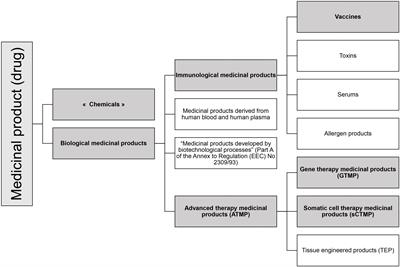 RNA-based drugs and regulation: Toward a necessary evolution of the definitions issued from the European union legislation
